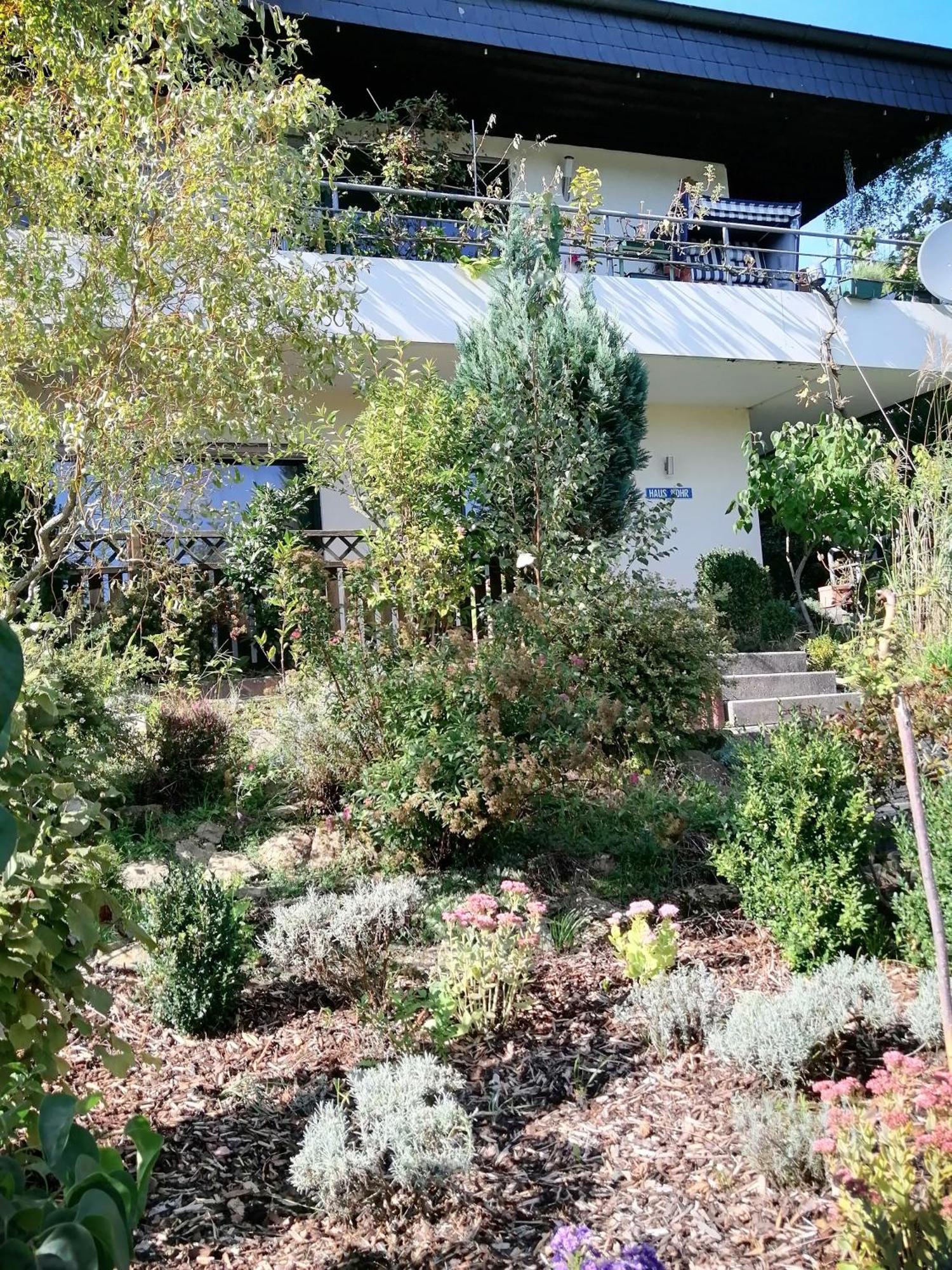 Haus Mohr - Ferienwohnung Im Taunus Weilmunster Exterior photo